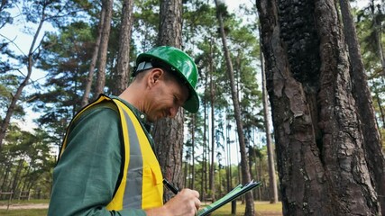 Forestry worker inspecting trees and taking notes in forest