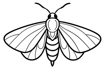 Opal Moth Elegance