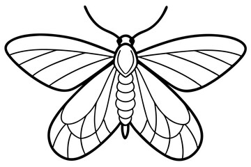 Opal Moth Elegance