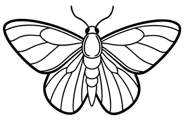Opal Moth Elegance