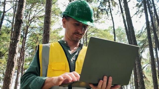 Environmental engineer analyzing data on laptop in forest