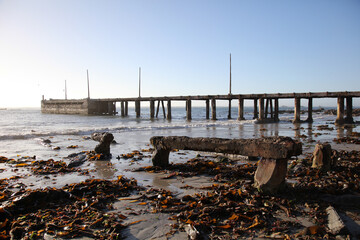 Ancient original beam for the diamond loading pier at Port Nolloth