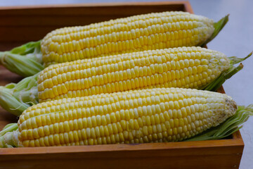 Sweet corn, Fresh yellow corn