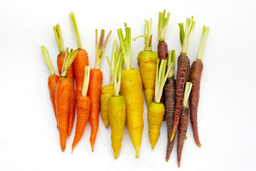 Fresh carrot vegetables, Ripe carrots