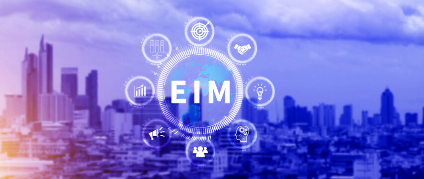 EIM Enterprise information management system, EIM Global Network with Analyzing Technological Data, Efficient Information Management, Network Connection.