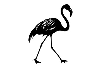 Silhouette of a flamingo walking with its long legs in a black and white view