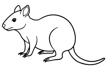 Quokka Sketch Vector