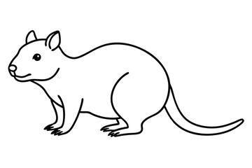 Quokka Sketch Vector