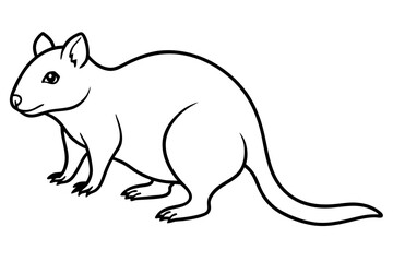 Quokka Sketch Vector