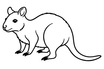 Quokka Sketch Vector
