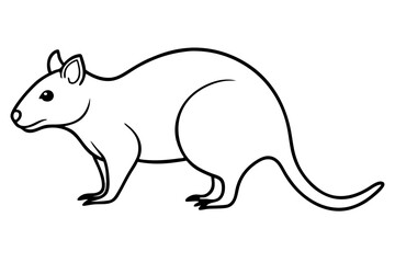 Quokka Sketch Vector