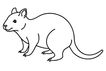 Quokka Sketch Vector