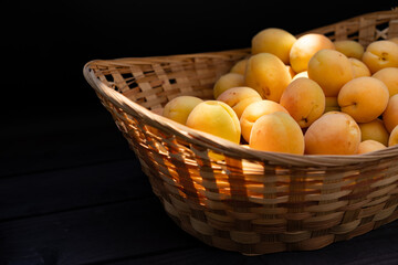 Freshly harvested yellow plums gathered in a wicker basket on a dark wooden surface