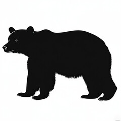 Fototapeta premium black bear silhouette , black and white illustration isolated on white background