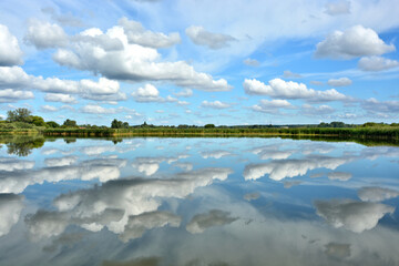 See, Schilf, Natur, Himmel, Horizont, Spiegelung, Sommer