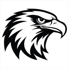 eagle head vector illustration