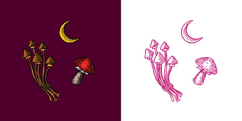 Collection of wizardry elements for magic rituals Mushrooms and half moon. Halloween witchcraft and sorcery things magician and voodoo hand drawn engraved 