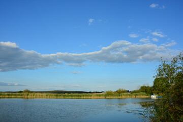 See, Baum, Natur, Horizont, Himmel, Sommer, Landschaft