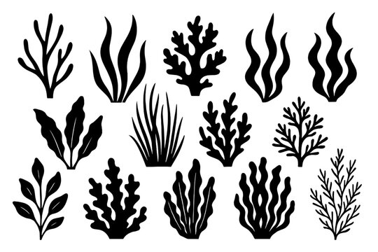 Various types of stylized aquatic plants in black silhouette design showcasing diverse shapes and textures