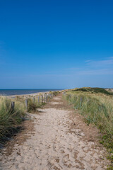 Path through the dunes with fence and beach grass on the North Sea coast