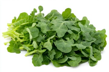 Fresh, vibrant green arugula leaves arranged neatly on a white background, showcasing their crisp texture and rich color, ideal for culinary uses in salads and garnishes