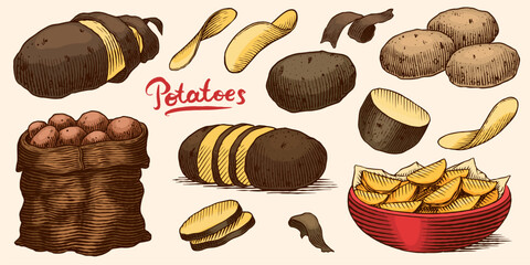 Potatoes and plant hand drawn. Collection of vegetables and chips in a dish and full sack of fresh food. Spud or pratie engraved pieces. Murphy in groups ready to eat