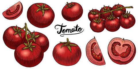 Set of tasty and fresh red tomatoes, hand drawn vegetables in engraved old traditional style. sketch or linework drawing for product or food store
