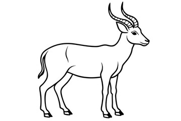 Stylized Markhor Sketch