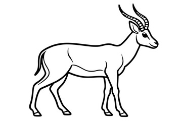 Stylized Markhor Sketch