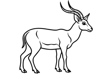 Stylized Markhor Sketch