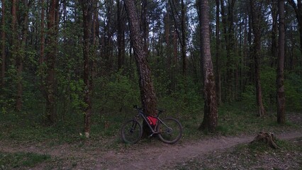 Beautiful sport bicycle standing near the tree in the green forest with path under bright color...
