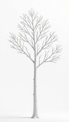 Fototapeta premium Simple isolated white tree branches on white background, branch, white, minimalism