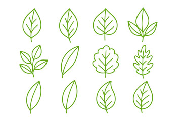 Various green leaf shapes arranged in a grid, showcasing the diversity of plant foliage in a simple, clean design