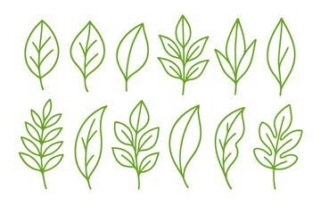 Variety of green leaf illustrations depicting different shapes and styles for artistic and design purposes
