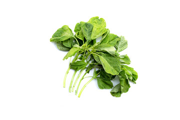 Green spinach on white background.