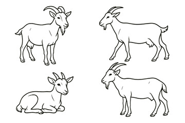 Different poses of goats illustrated on a white background showing their unique features and characteristics