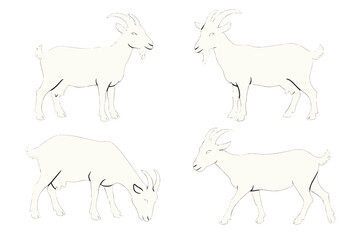 Goats in various poses displayed in a simple, artistic style showcasing their playful nature and unique features