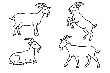 Different poses of goats displayed in a simple line drawing style for educational purposes