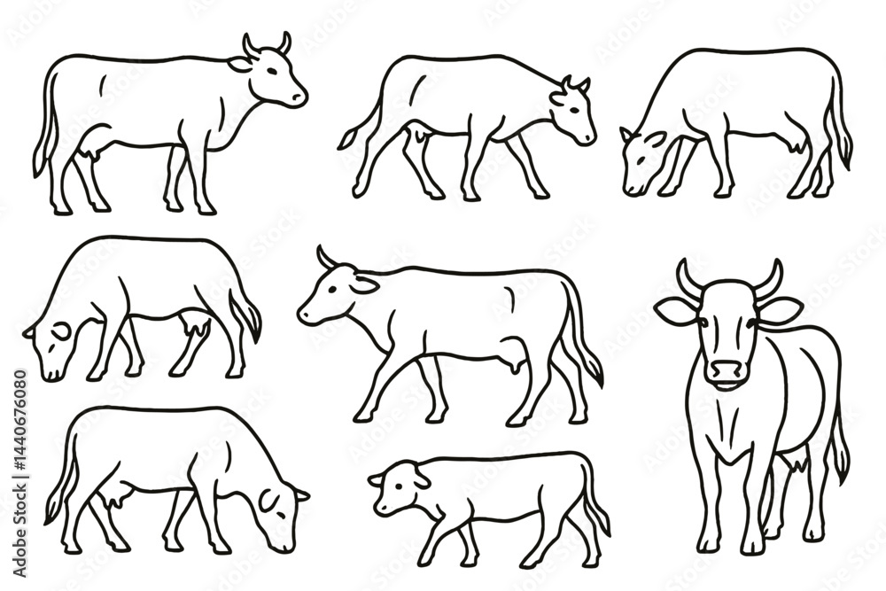 Poster various sketches of cows in different poses and actions on a white background illustrating farm anim