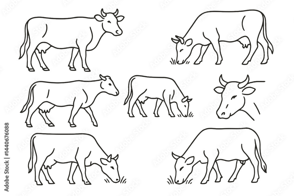 Poster various sketches of cows grazing in a rural setting during the day, illustrating different postures 