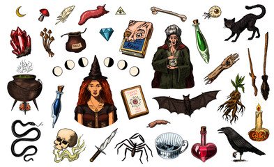 Big collection of wizardry elements for magic rituals or tarot deck, book, cat hand Witch with stone of prediction. Halloween witchcraft and sorcery things magician and voodoo hand drawn engraved 