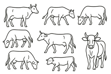 Various sketches of cows in different poses and actions on a white background illustrating farm animals