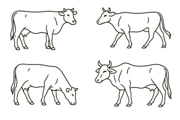 Illustrations of cows in different poses showcasing their features and characteristics on a plain background