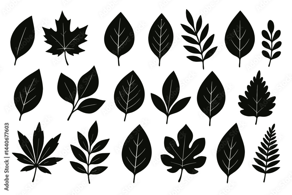 Poster collection of various leaf silhouettes showcasing distinct shapes and sizes in a simple black and wh