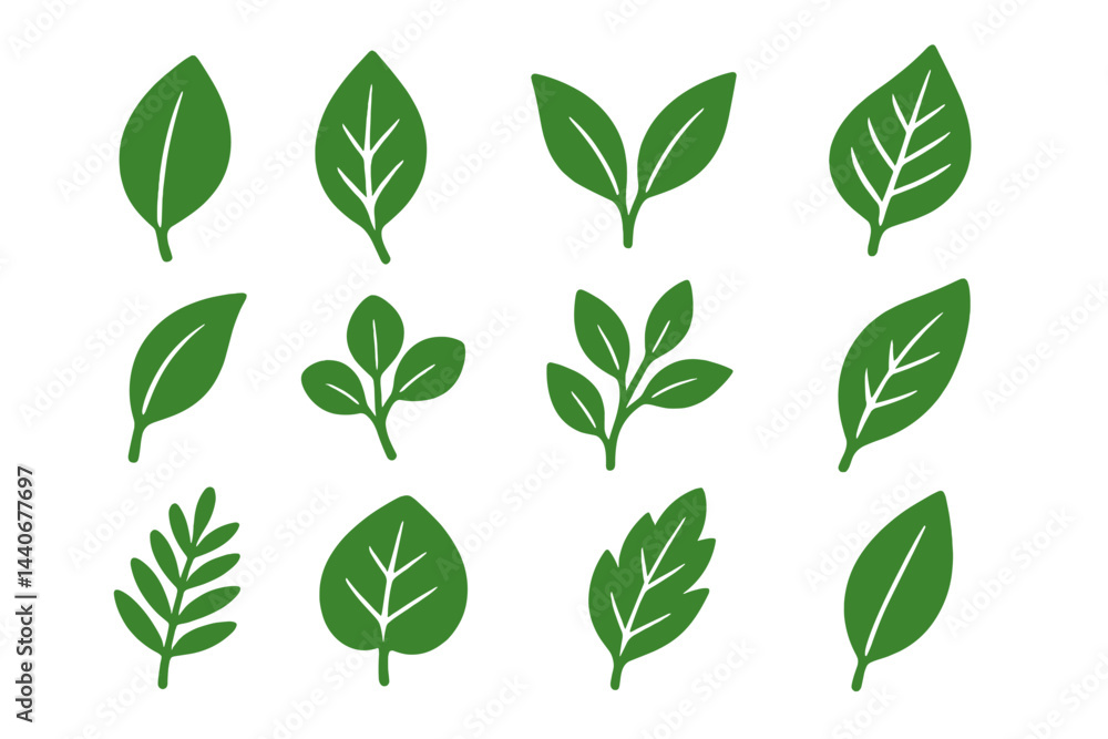 Poster various green leaves displayed in a grid pattern showcasing diversity in shape and size
