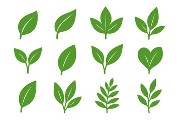 Various green leaf designs showcasing different shapes and styles for nature-inspired art and decoration