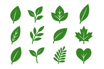 Collection of green leaf illustrations showcasing various shapes and sizes on a white background