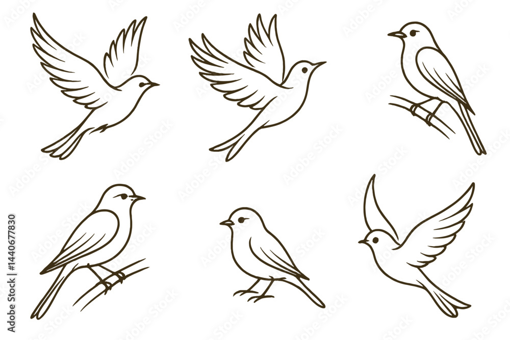 Poster collection of simple bird illustrations depicting various poses and expressions in a minimalist styl