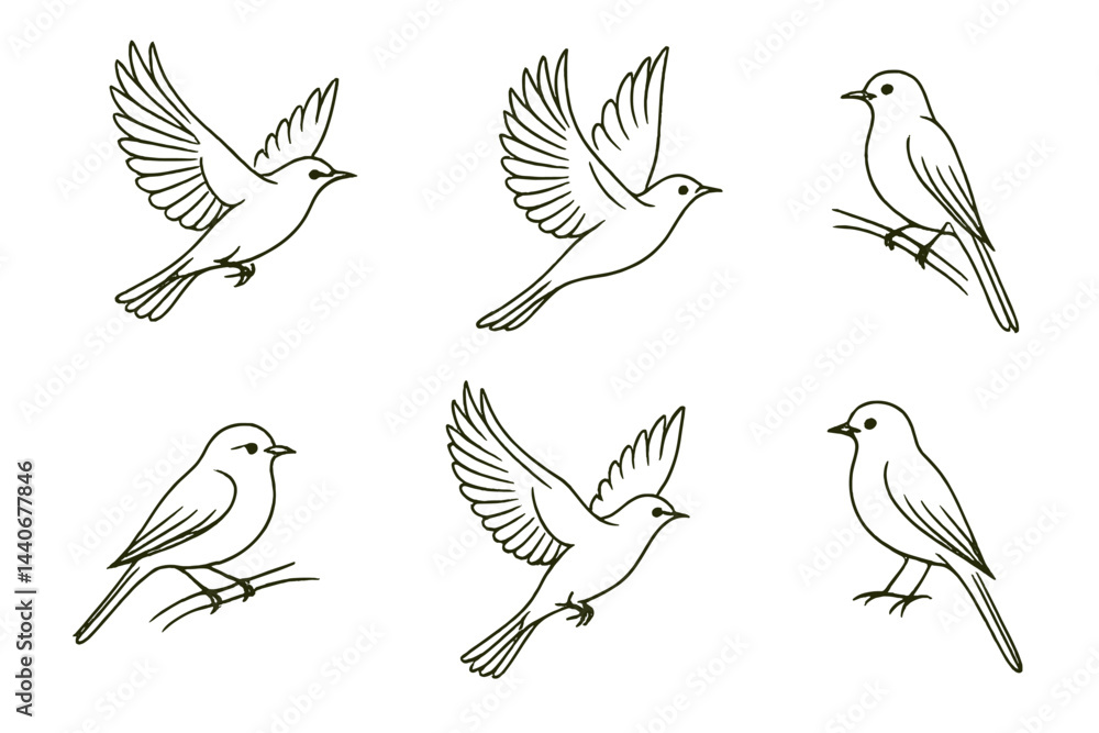 Aufkleber bird illustrations showcasing different poses and actions in a minimalist style on a white backgroun