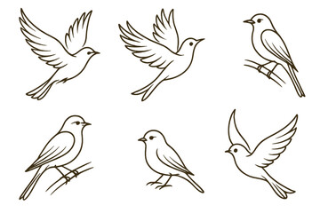 Obraz premium Collection of simple bird illustrations depicting various poses and expressions in a minimalist style suitable for artistic projects